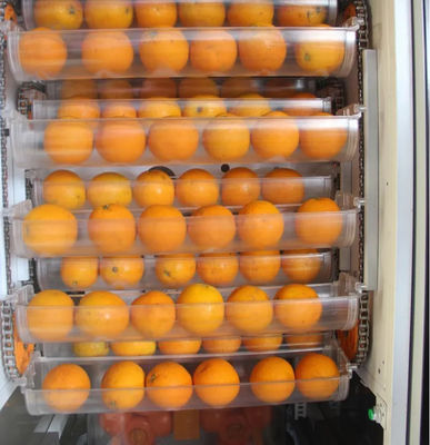 دستگاه فروش خودکار میوه تازه آب پرتقال 1000 واتی برای فروشگاه سوپرمارکت